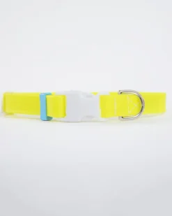 A Walk in the Park Dog Collar in Neon Yellow (Made in the USA) (FINAL SALE)