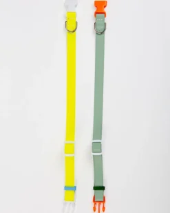 A Walk in the Park Dog Collar in Neon Yellow (Made in the USA) (FINAL SALE)