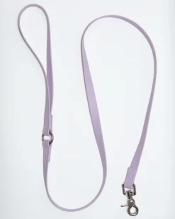A Walk in the Park Dog Leash in Black (Made in the USA)
