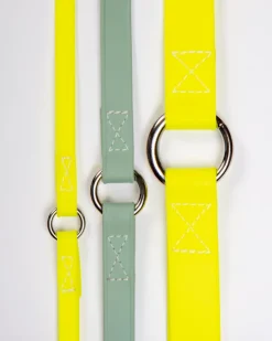 A Walk in the Park Dog Leash in Sage Green (Made in the USA)
