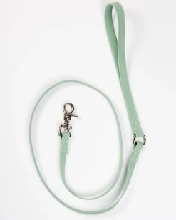 A Walk in the Park Dog Leash in Sage Green (Made in the USA)