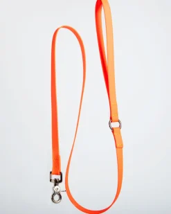 A Walk in the Park Dog Leash (Made in the USA)