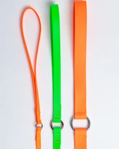 A Walk in the Park Dog Leash (Made in the USA)
