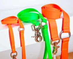 A Walk in the Park Dog Leash (Made in the USA)