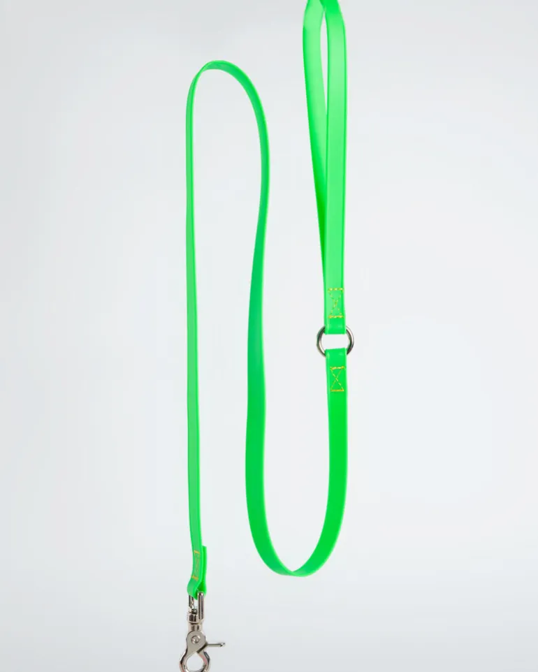 A Walk in the Park Dog Leash (Made in the USA)