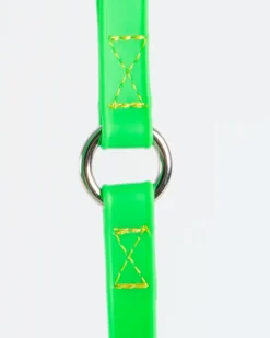 A Walk in the Park Dog Leash (Made in the USA)