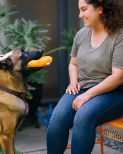 Bagel Squeak + Crinkle Dog Toy