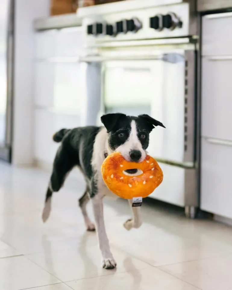 Bagel Squeak + Crinkle Dog Toy