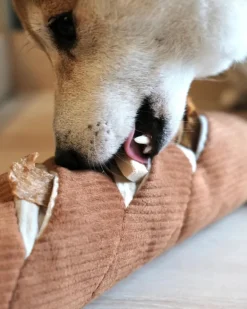 Baguette Nosework Squeaky Dog Toy