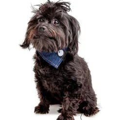 Bandana Bowl For Dogs (Made in the USA)