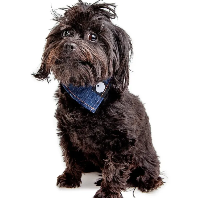 Bandana Bowl For Dogs (Made in the USA)