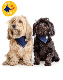 Bandana Bowl For Dogs (Made in the USA)