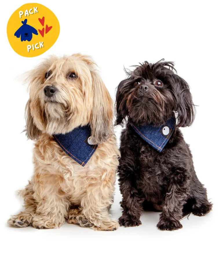 Bandana Bowl For Dogs (Made in the USA)