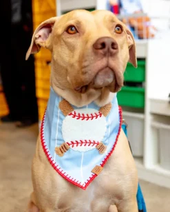Baseball Applique Dog Bandana