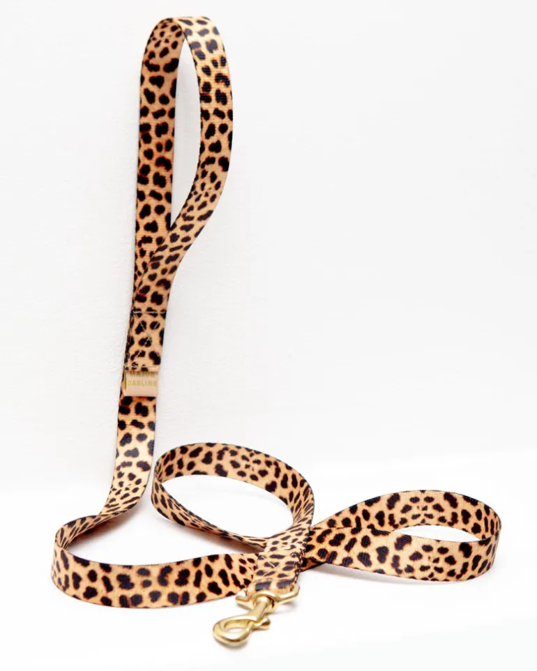 Basic Nylon Dog Leash in Leopard (Made in the USA)