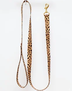 Basic Nylon Dog Leash in Leopard (Made in the USA)