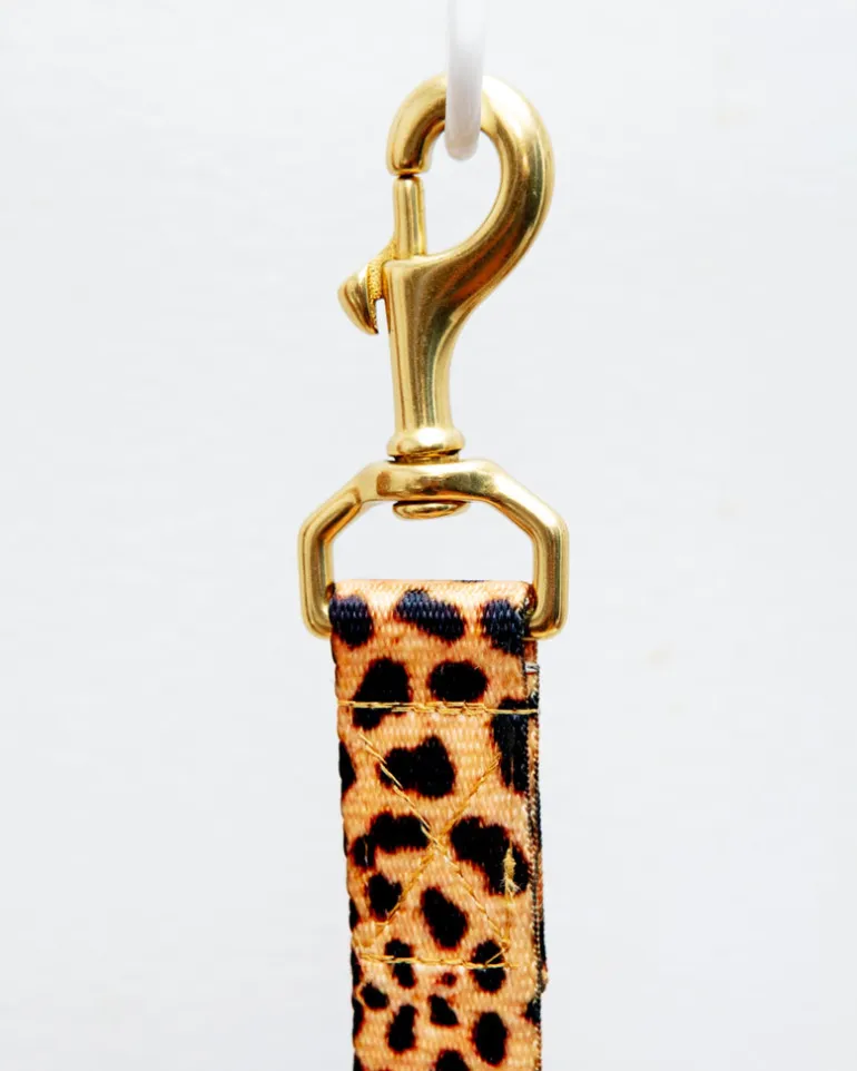 Basic Nylon Dog Leash in Leopard (Made in the USA)