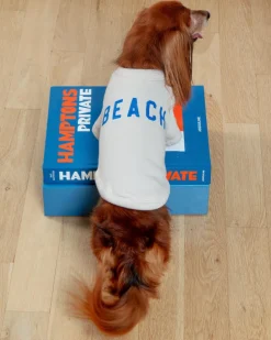 BEACH Dog Sweatshirt