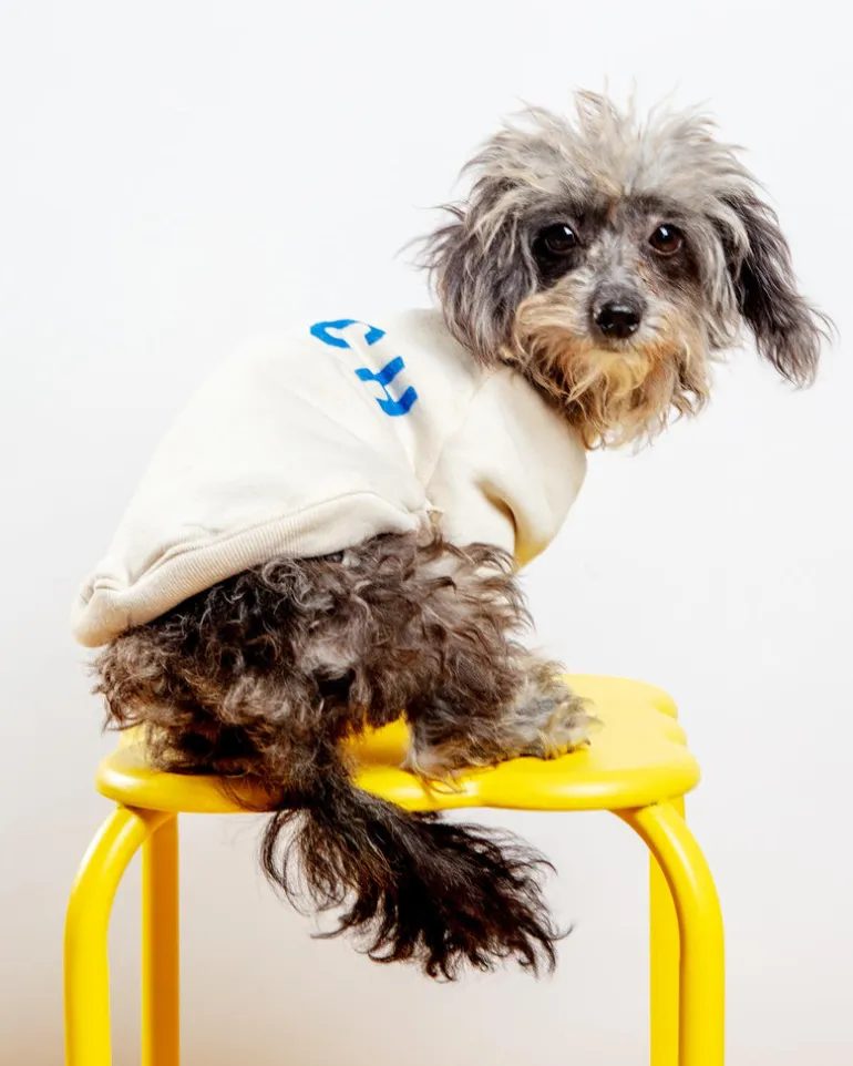 BEACH Dog Sweatshirt