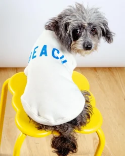 BEACH Dog Sweatshirt