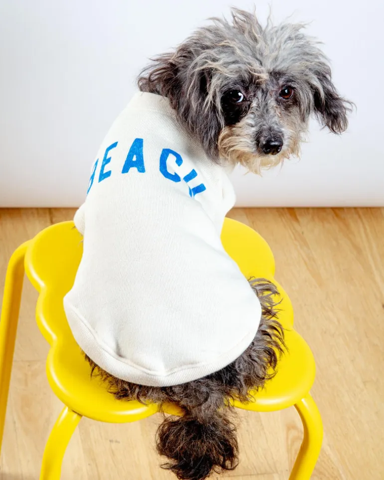 BEACH Dog Sweatshirt