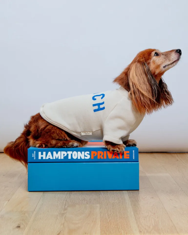 BEACH Dog Sweatshirt