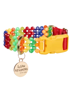 Beaded Dog Collar in Playdate (Made in the USA)
