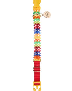 Beaded Dog Collar in Playdate (Made in the USA)