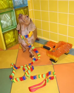Beaded Dog Collar in Playdate (Made in the USA)
