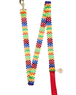 Beaded Dog Leash in Playdate (Made in the USA)