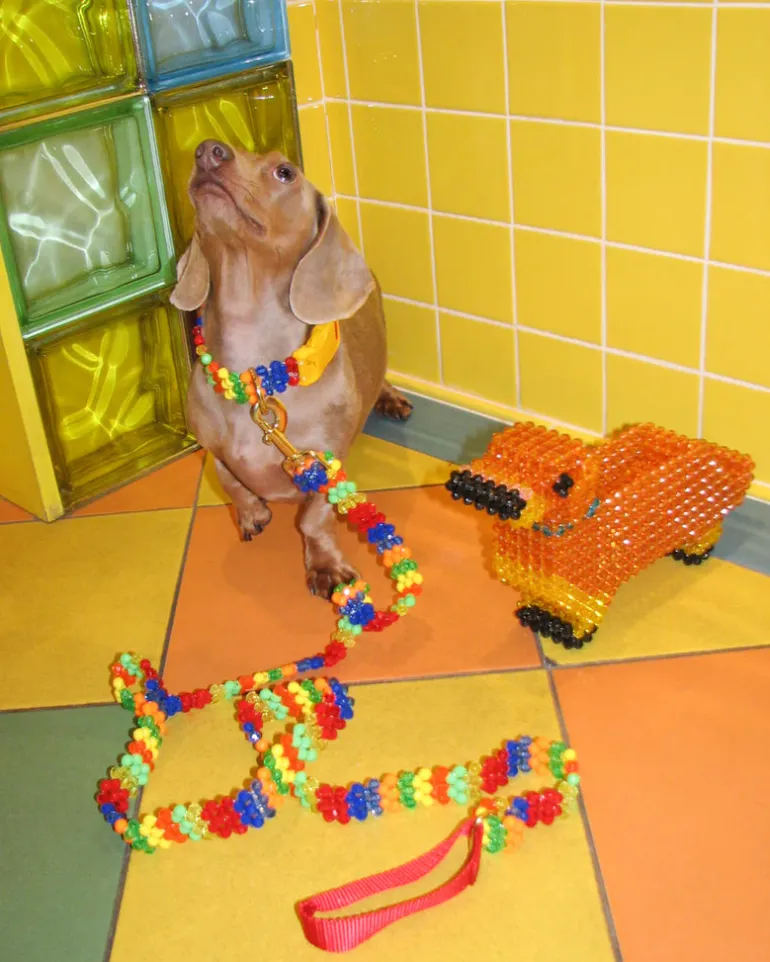 Beaded Dog Leash in Playdate (Made in the USA)