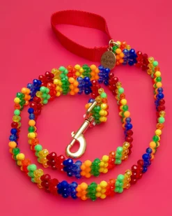 Beaded Dog Leash in Playdate (Made in the USA)