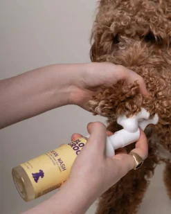 Bean Wash Foaming Paw Cleanser