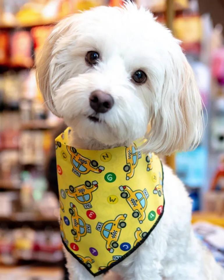 Beep Beep NYC Dog Bandana (Made in NYC)