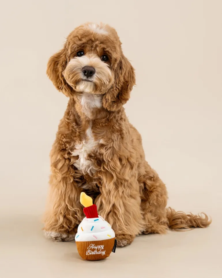 Birthday Cupcake Squeaky Snuffle Dog Toy
