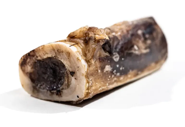 Bison Marrow Long-Lasting Chew Bones