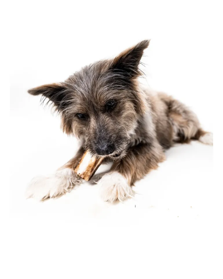 Bison Marrow Long-Lasting Chew Bones