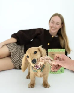 Bison Tendon Dog Chews