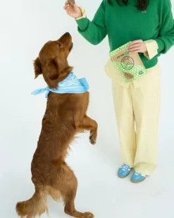 Bison Tendon Dog Chews