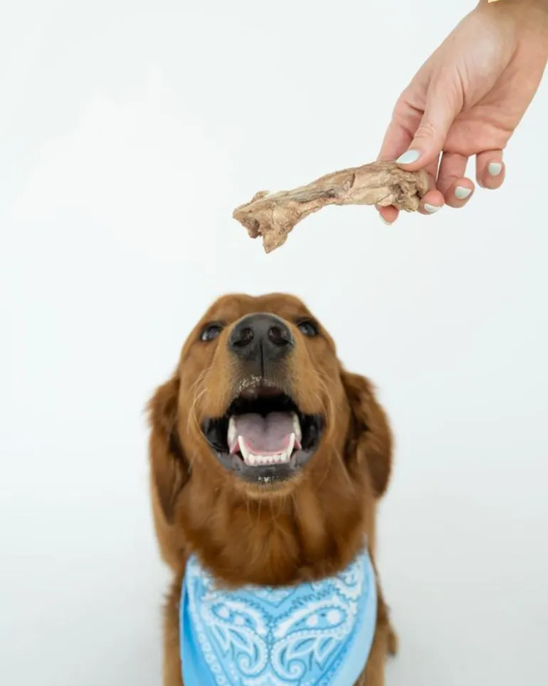 Bison Tendon Dog Chews