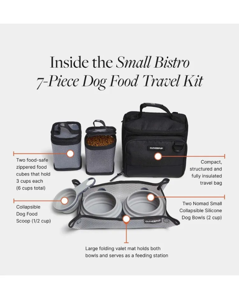 Bistro Box Dog Food Travel Kit in Check