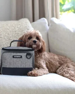 Bistro Box Dog Food Travel Kit