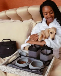Bistro Box Dog Food Travel Kit