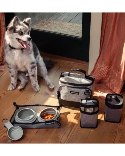 Bistro Box Dog Food Travel Kit