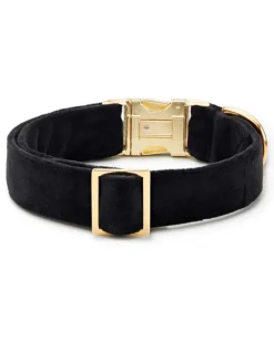 Black Velvet Dog Collar (Made in the USA) (FINAL SALE)