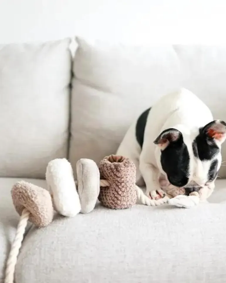 Blocs Interactive Tug Dog Toy