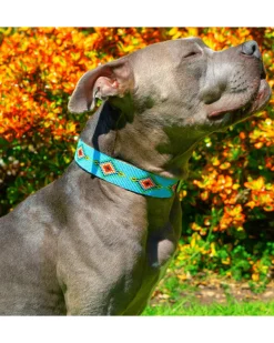 Blue Vogue Beaded Dog Collar (Rolled or Flat)