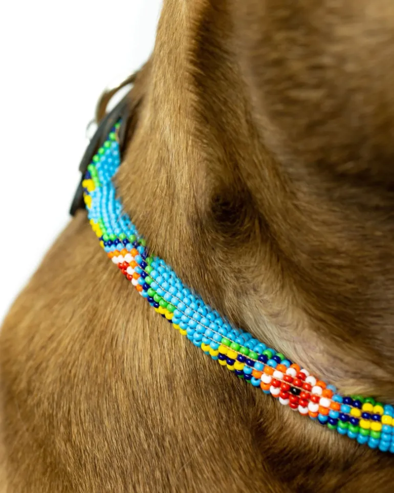 Blue Vogue Beaded Dog Collar (Rolled or Flat)