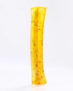 Bone Broth Dog Chew Stick