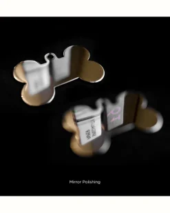 Bonne Bone in Chrome Custom Pet ID Tag